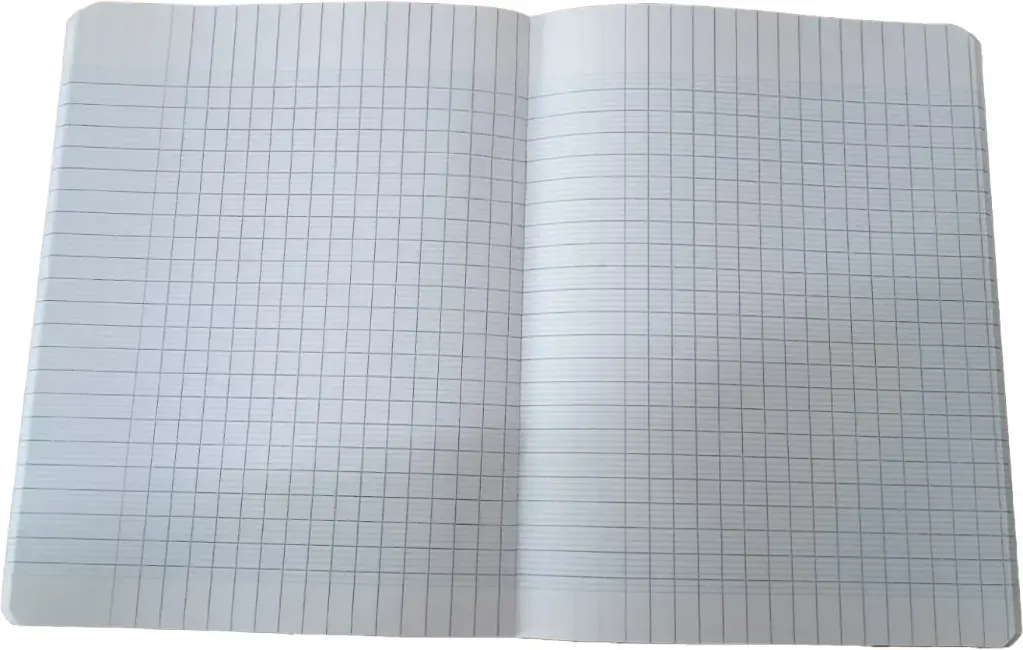 CAHIER N°24 FF20066 SELECTA