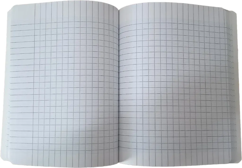 CAHIER N°72 24036 SELECTA
