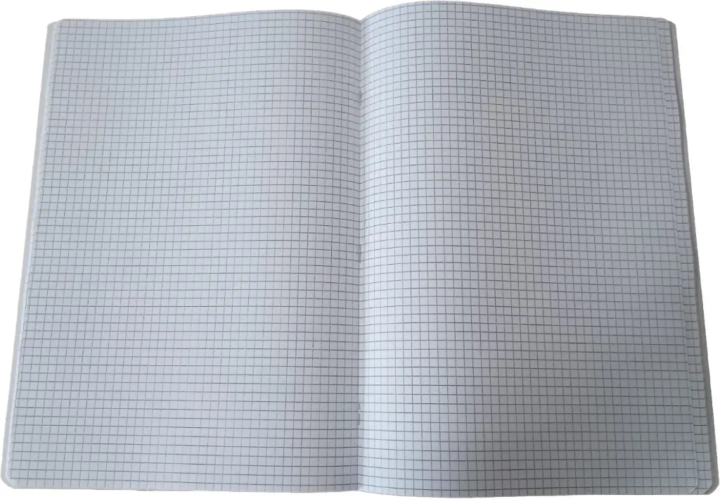 CAHIER PIQURE 5/5 96P SELECTA