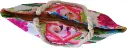 Sac de plage épaulière corde souple (Plumes roses et bleus) (copie)