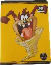 Cahier N°24 SELECTA