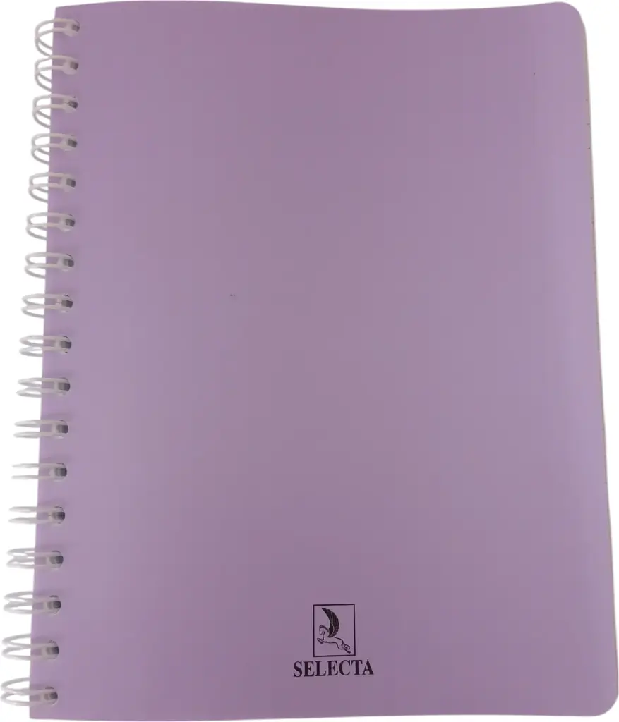 Cahier TP GM 192P Seyes VILALUXE