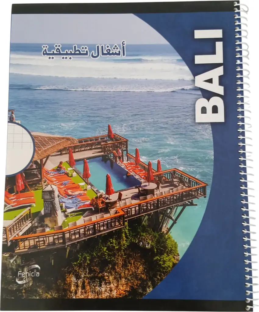 Cahier TP SEYS FENICIA