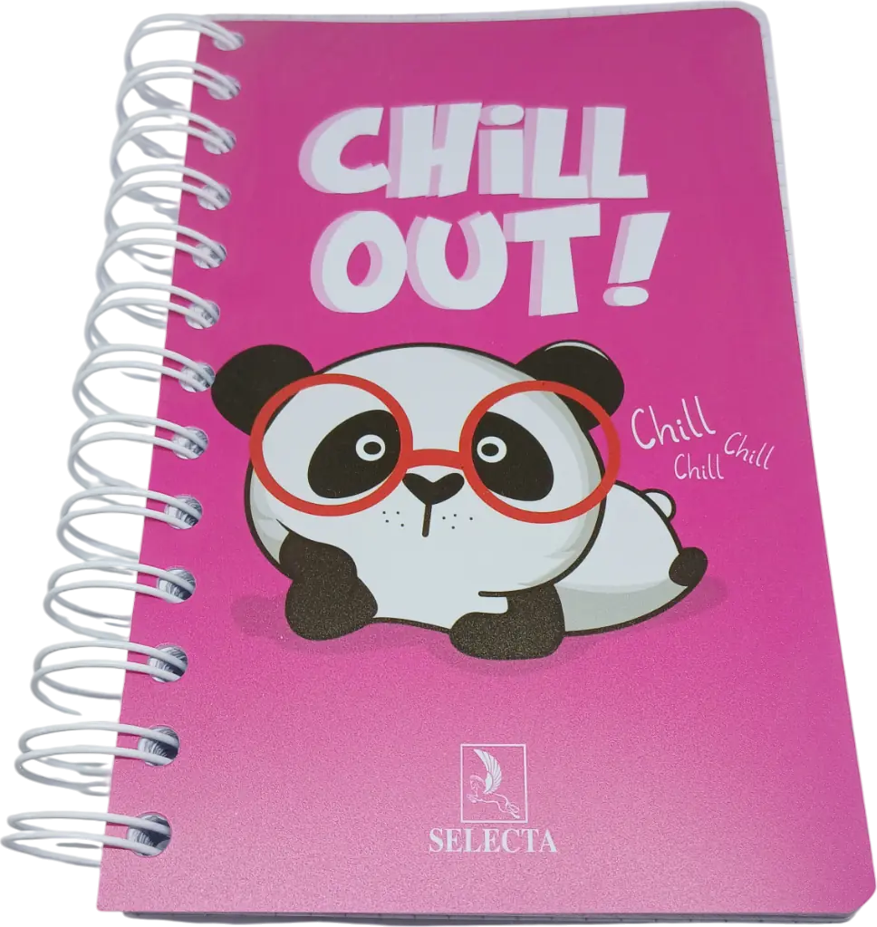 Carnet Wireo 300p 11/17 SELECTA