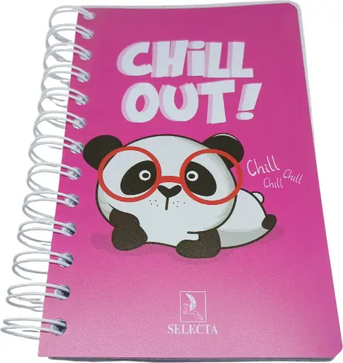 [CA21] Carnet Wireo 300p 11/17 SELECTA