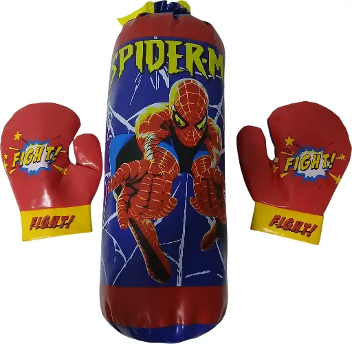 Sac et gants de boxes